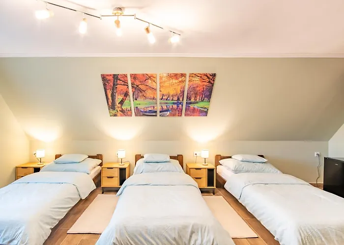 Scenic View - Infra Sauna - Spacious - Mandula Vendeghaz דירה *